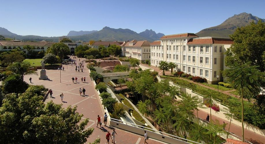 Stellenbosch University